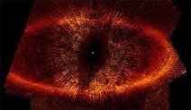 images_319